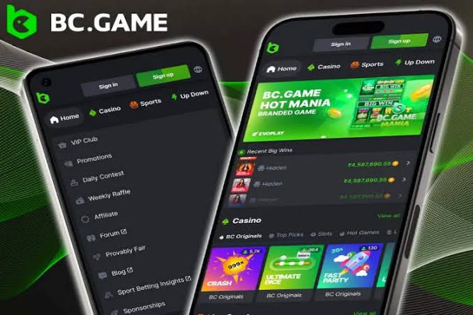 Understanding BC.Game Mirror Links Your Gateway to Uninterrupted Gaming